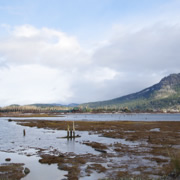 昨天的Cowichan Bay就在對岸。