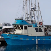 James Bay的漁人碼頭。