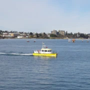 沿防波堤前行。